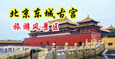 大鸡巴操蜜雪中国北京-东城古宫旅游风景区